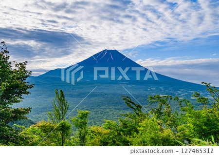 A spectacular view of Mt. Fuji and fresh greenery from Ryugatake, one of the 100 famous mountains in Yamanashi 127465312