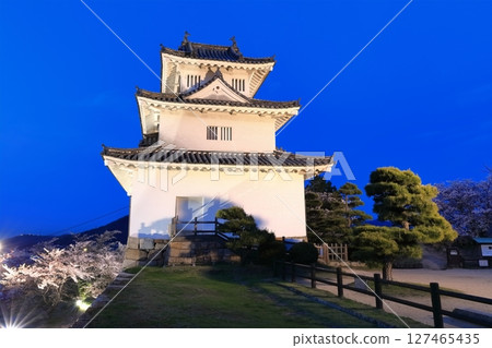 [香川縣] 櫻花盛開的春天的丸龜城（丸龜城燈火通明，夜晚櫻花盛開） 著名的石牆城堡 127465435