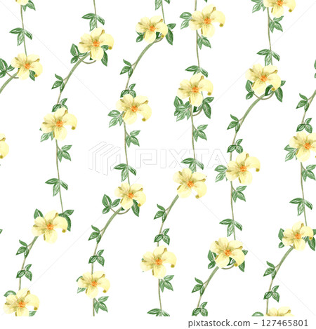 Liana branches with white flowers watercolor seamless pattern isolated on white. Hand drawn design perfect for cards, posters, botanical patterns, eco decor, tropical rainforest design. Nature clip 127465801