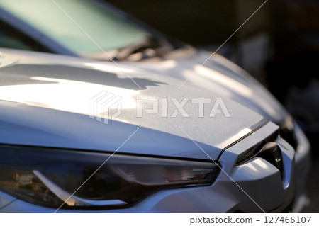 引擎蓋上的晨露 127466107