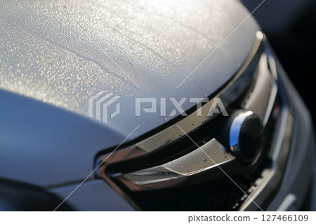 引擎蓋上的晨露 引擎蓋上的晨露 127466109