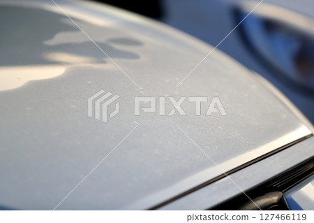 引擎蓋上的晨露 引擎蓋上的晨露 127466119