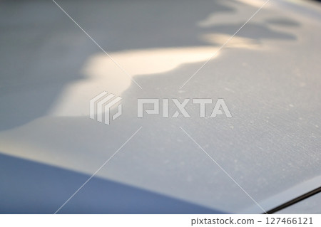 引擎蓋上的晨露 127466121