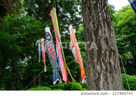 Carp streamers in the shade 127466743