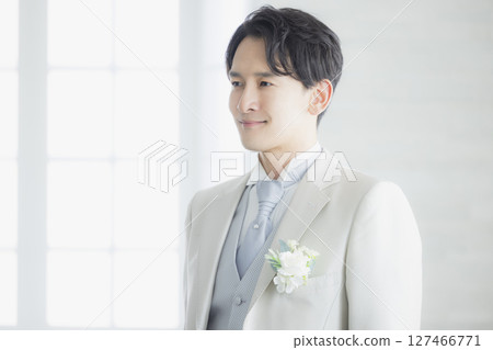 Wedding groom Wedding groom 127466771