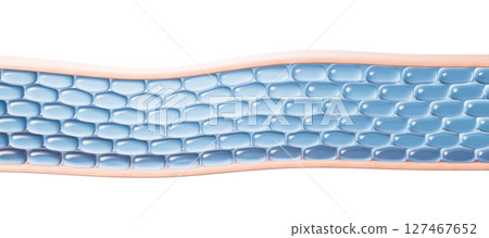 isolated, vitamin, surface 127467652