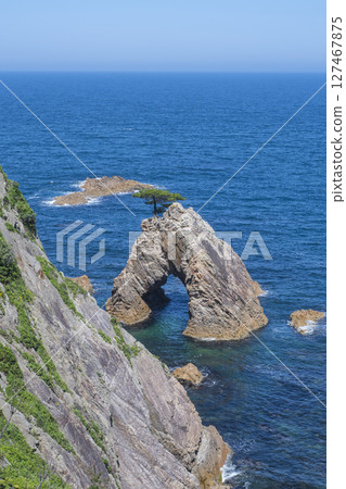 Scenery of Uradome Coast in spring Tottori Prefecture Uradome Coast Scenery of Uradome Coast in spring Tottori Prefecture Uradome Coast 127467875