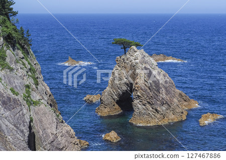 Scenery of Uradome Coast in spring Tottori Prefecture Uradome Coast 127467886