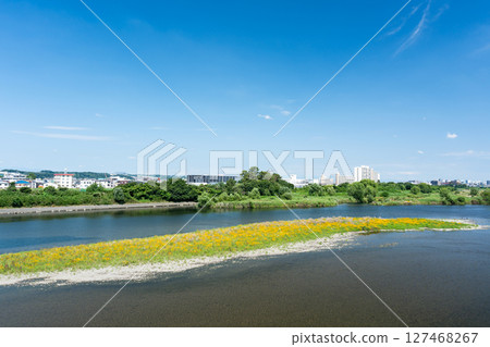 View of the Tama River from the Tama Aqueduct, Motoizumi, Komae City, Tokyo 127468267