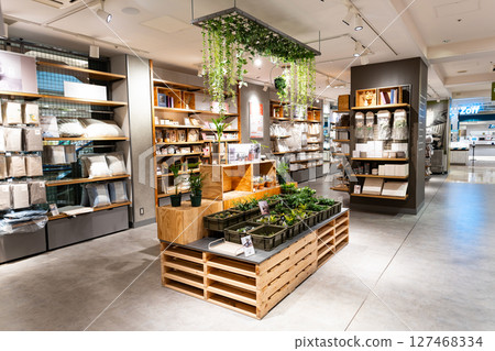 Houseplants at 3COINS +plus Mizonokuchi Nocti Plaza store, Mizonokuchi Station, Mizonokuchi, Takatsu Ward, Kawasaki City, Kanagawa Prefecture 127468334