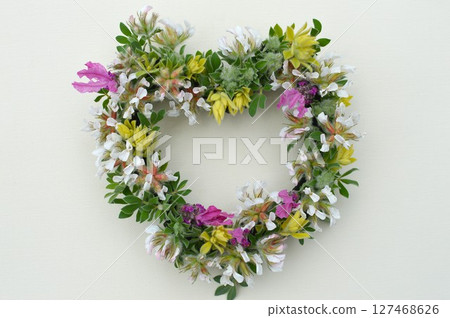 蓮花硫磺與法國薰衣草心 127468626