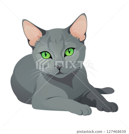Korat cat lying down 127468630