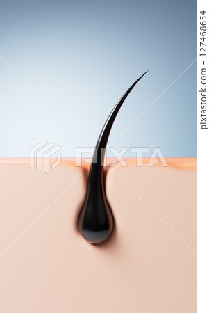 dermal, anatomy, root 127468654