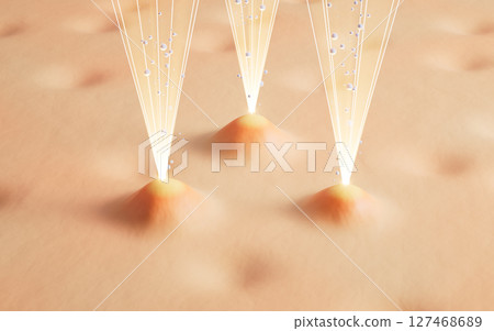 whelk, pores, inflammation 127468689