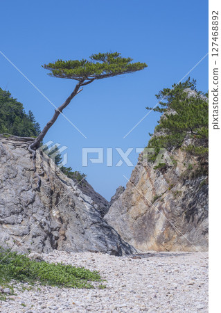 Scenery of Uradome Coast in spring Tottori Prefecture Uradome Coast Scenery of Uradome Coast in spring Tottori Prefecture Uradome Coast 127468892