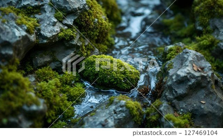 A rugged rock featuring a layer of moss, representing the resilience and beauty of nature's ecosystems 127469104
