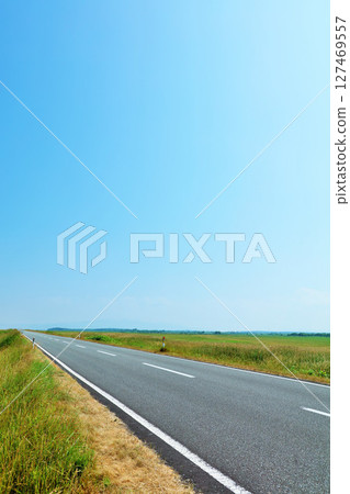 藍天下的北海道江戶香線 藍天下的北海道江戶香線 127469557
