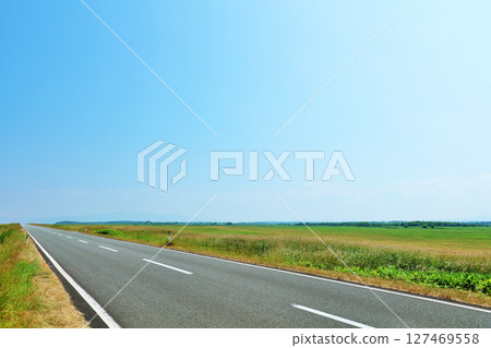藍天下的北海道江戶香線 藍天下的北海道江戶香線 127469558
