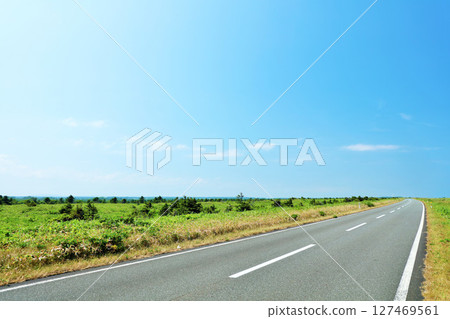 藍天下的北海道江戶香線 藍天下的北海道江戶香線 127469561