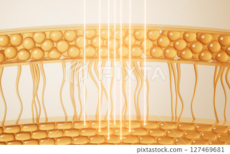 vitamin, biological, dermatology 127469681