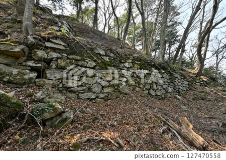 高峰城是大內義長和森元成建造的山城 高峰城是大內義長和森元成建造的山城 127470558