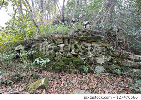 高峰城是大內義長和森元成建造的山城 127470560