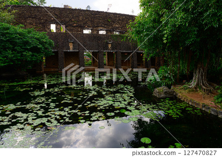 植物園風景：熱帶夢想中心 127470827