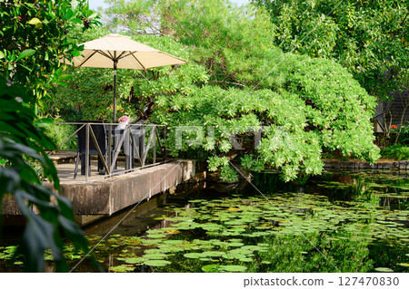 植物園風景：熱帶夢想中心 127470830