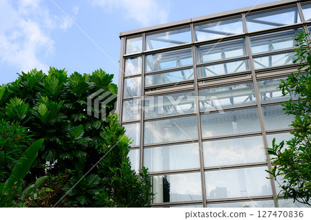 植物園風景:熱帶夢想中心 植物園風景:熱帶夢想中心 127470836