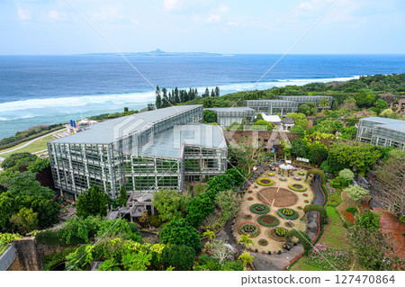 植物園風景：熱帶夢想中心 127470864