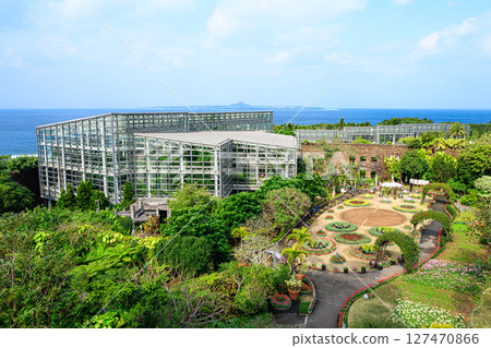 植物園風景：熱帶夢想中心 127470866