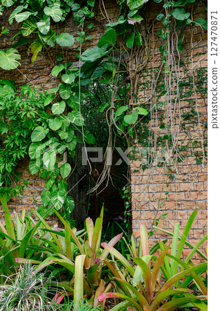 植物園風景：熱帶夢想中心 127470871