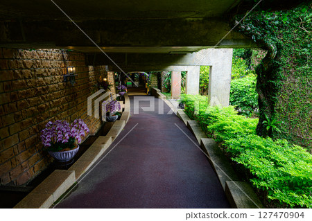 Scenery of the botanical garden: Tropical Dream Center Scenery of the botanical garden: Tropical Dream Center 127470904