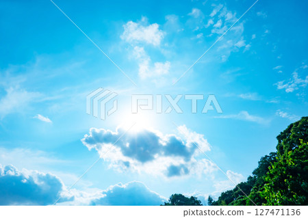 藍天、白雲、陽光和樹木 127471136