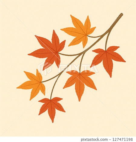 Japanese-style illustration of maple leaves 127471198