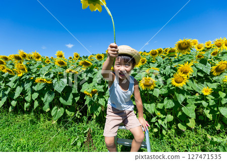 Little boy playing in sunflower field 127471535