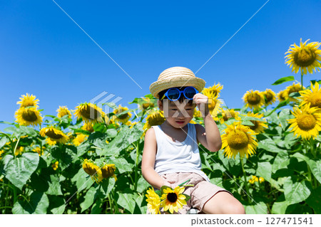 Little boy playing in sunflower field 127471541