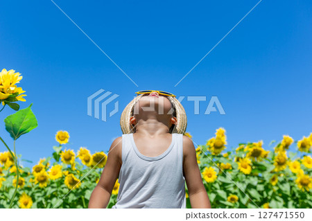 Little boy playing in sunflower field 127471550