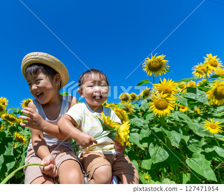 Brothers playing in the sunflower field Brothers playing in the sunflower field 127471954