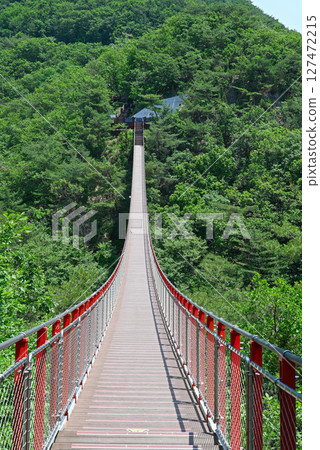[韓國/坡州] 首爾附近卡瑪克山上的紅色吊橋 127472215