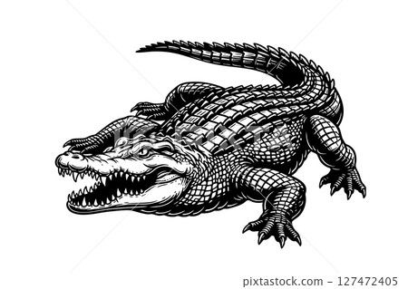 Detailed engraving of an aggressive crocodile with open jaws, textured black and white artwork ideal for wildlife, danger, or reptile themes. Detailed engraving of an aggressive crocodile with open jaws, textured black and white artwork ideal for wildlife, danger, or reptile themes. 127472405