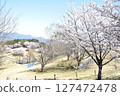 從山頂眺望櫻花和藍天 127472478