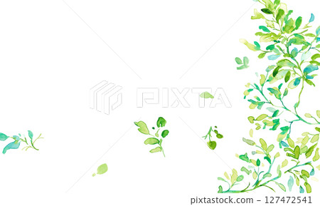 Watercolor painting. Illustration of early summer plants with a watercolor touch. Vector illustration of plants. Eco. Forest. 127472541