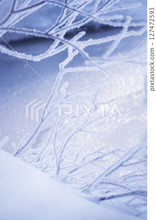 Frost that fell on the forest due to radiative cooling (around Onhara Kogen) 127472591