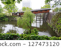 Rain Garden 2 127473120
