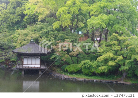 雨水花園 3 雨水花園 3 127473121