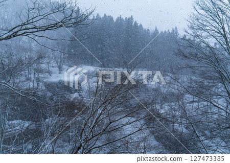 250317 秋山鄉雪景 127473385
