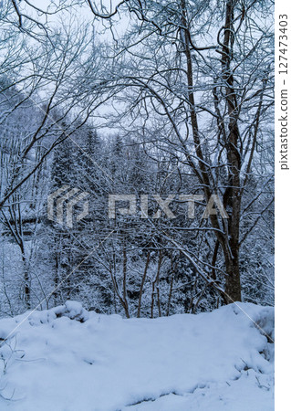 250317 秋山鄉雪景 127473403