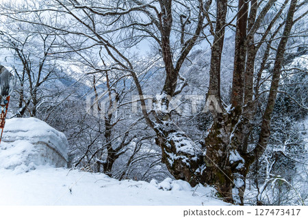 250317 秋山鄉雪景 250317 秋山鄉雪景 127473417