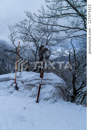 250317 秋山鄉雪景 127473422